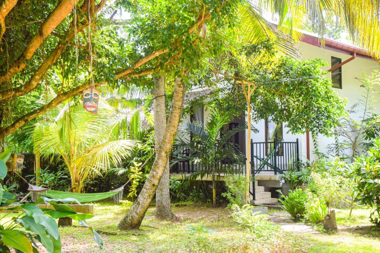 Groot Apartment Hikkaduwa