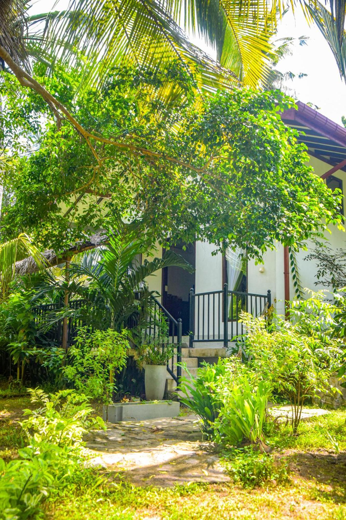 Groot Apartment Hikkaduwa