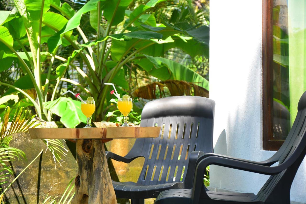 Groot Apartment Hikkaduwa
